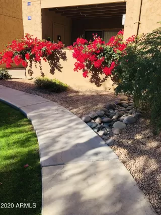 Photo #6: 6171784 Listing 