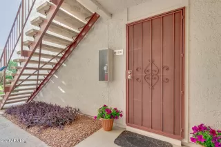 Photo #1: 6173054 Listing 