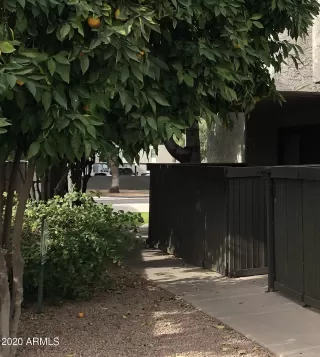 Photo #1: 6173458 Listing 