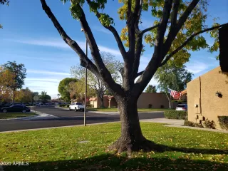 Photo #4: 6177311 Listing 