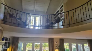 Photo #3: 6178544 Listing 