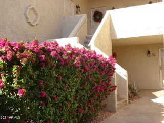 Photo #2: 6179315 Listing