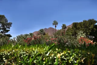 Photo #3: 6180320 Listing