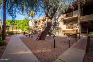 Photo #1: 6180868 Listing