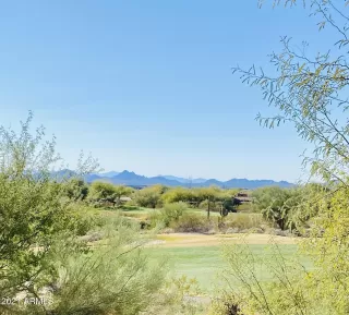 Photo #2: 6189899 Listing