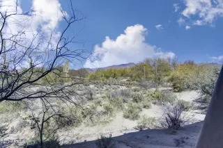 Photo #5: 6191177 Listing