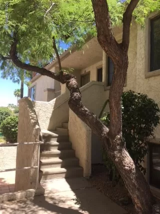 Photo #4: 6191526 Listing