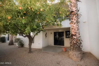 Photo #1: 6192770 Listing