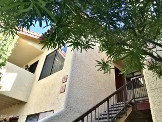 Photo #1: 6194840 Listing