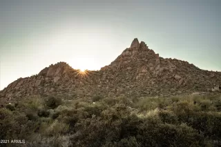 Photo #5: 6197158 Listing