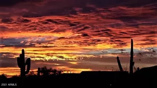 Photo #4: 6198344 Listing