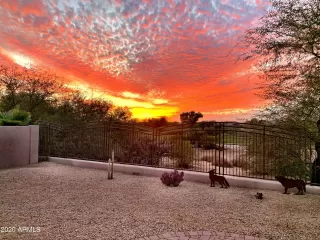 Photo #1: 6198960 Listing