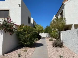 Photo #1: 6200862 Listing