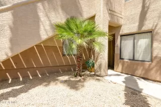 Photo #6: 6205872 Listing 