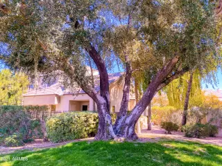 Photo #2: 6214906 Listing