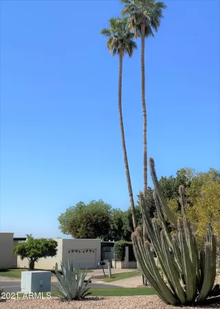 Photo #5: 6216670 Listing 
