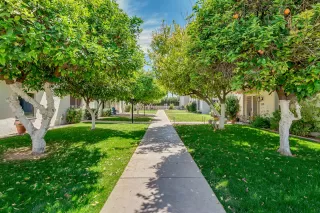 Photo #1: 6219834 Listing 