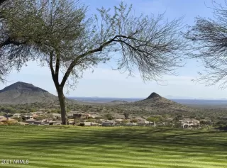 Photo #1: 6221081 Listing 