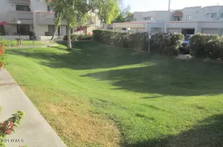 Photo #2: 6221223 Listing 