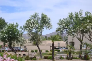 Photo #1: 6223027 Listing 