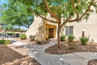 Photo #4: 6225186 Listing 