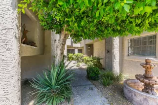 Photo #1: 6228814 Listing