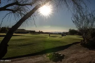 Photo #1: 6229858 Listing