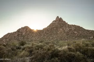 Photo #2: 6229858 Listing