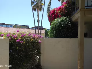 Photo #3: 6230010 Listing