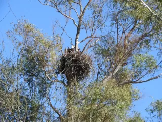 Photo #2: 6232004 Listing