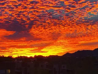 Photo #5: 6234006 Listing