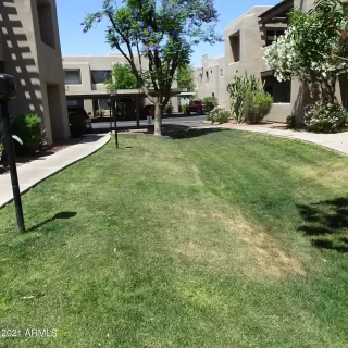 Photo #2: 6234411 Listing 