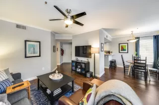 Photo #5: 6235035 Listing