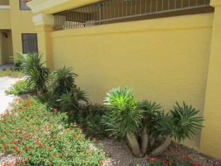Photo #4: 6235914 Listing