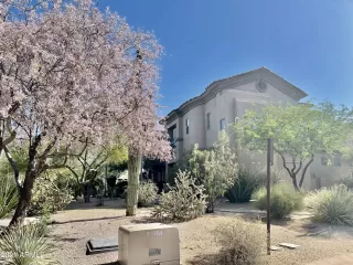 Photo #1: 6238203 Listing