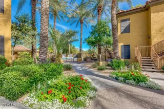 Photo #5: 6261464 Listing