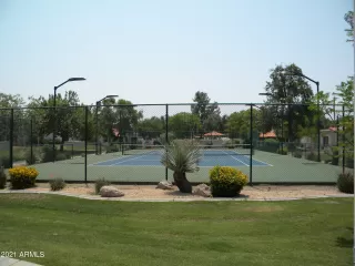 Photo #6: 6263528 Listing 