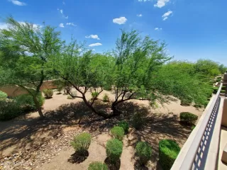 Photo #1: 6272476 Listing 