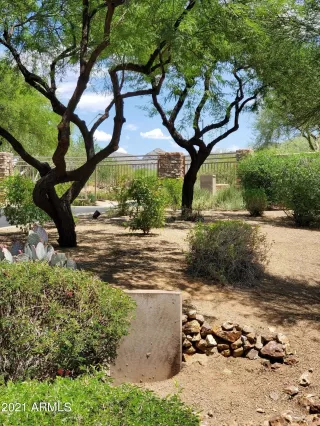 Photo #5: 6272476 Listing 