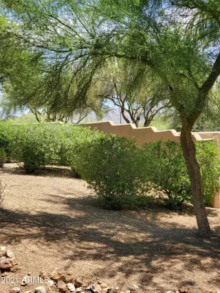 Photo #6: 6272476 Listing 