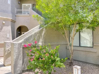 Photo #3: 6273927 Listing 