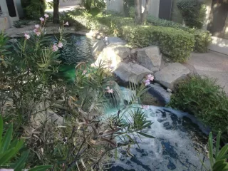 Photo #3: 6276922 Listing 