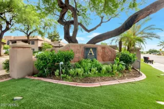 Photo #1: 6280046 Listing