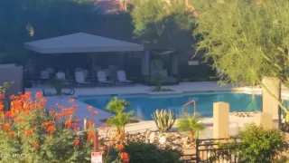 Photo #5: 6281052 Listing