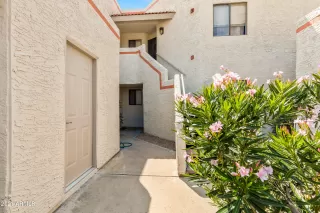 Photo #1: 6281755 Listing