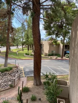 Photo #1: 6289886 Listing