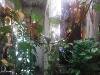 Photo #5: 6289951 Listing