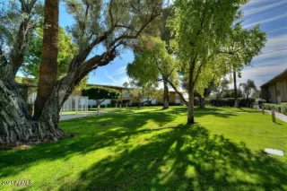 Photo #6: 6292573 Listing