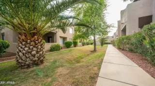 Photo #5: 6296023 Listing 