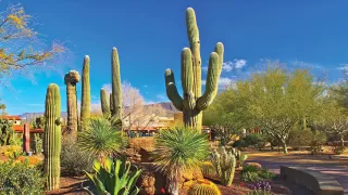 Photo #6: 6298884 Listing